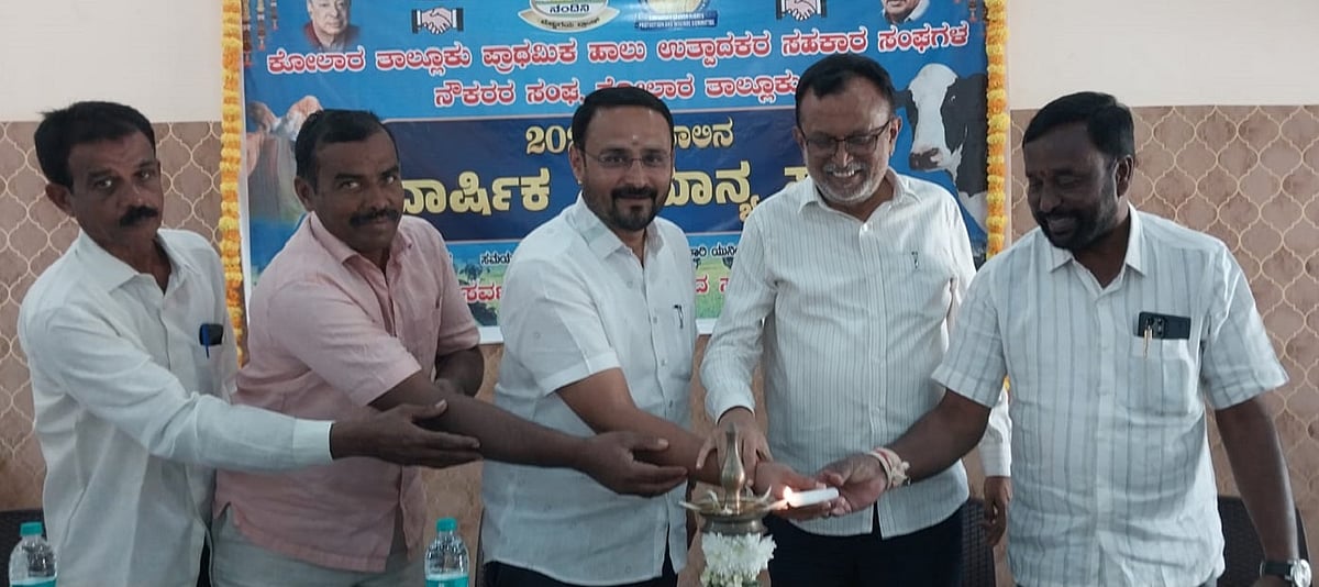 ರಾಜಕೀಯ ಉದ್ದೇಶಕ್ಕೆ ಕೋಮುಲ್‌ ಮೇಲೆ‌ ಆರೋಪ: ಡಿ.ವಿ.ಹರೀಶ್ 