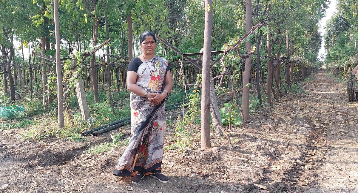 ಬಳ್ಳಾವೂರು‌ ತಾಂಡಾ: ಅಲ್ಪಭೂಮಿಯಲ್ಲಿ ಅಧಿಕ ಲಾಭ ಗಳಿಸಿದ ರೈತ ಮಹಿಳೆ