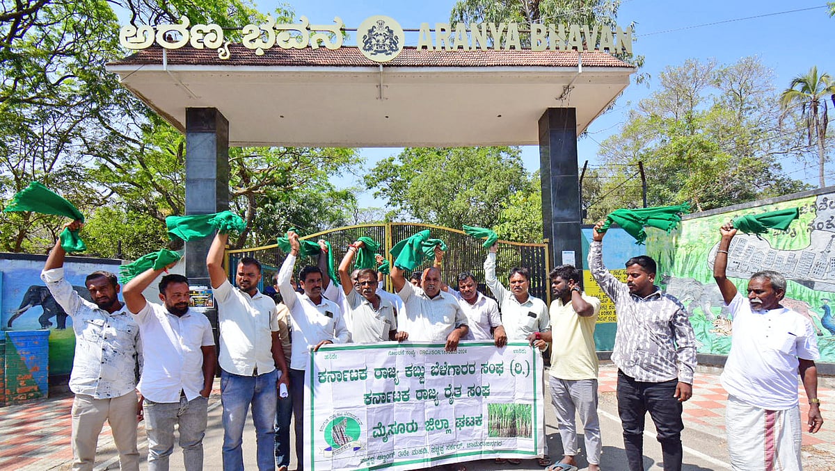 ಸಫಾರಿ ಆರಂಭದ ನಿರ್ಧಾರ ಹಿಂಪಡೆಯಿರಿ: ಕಬ್ಬು ಬೆಳೆಗಾರರ ಸಂಘದ ಒತ್ತಾಯ