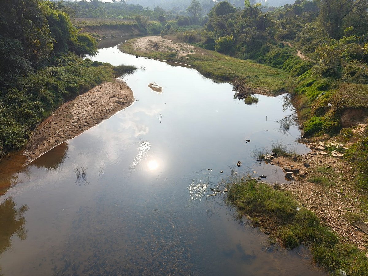 ಜಪಾವತಿ ನದಿಗೆ ಪಲ್ಪರ್ ನೀರು: ಕುಡಿಯುವ ನೀರಿಗೂ ಸಂಕಷ್ಟ