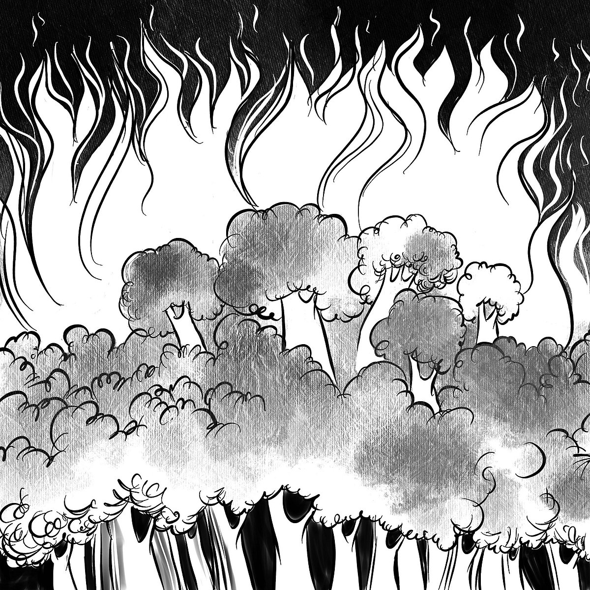 ಸಂಗತ | ಕಾಡು ತಣ್ಣಗಿರಲಿ, ಬೆಂಕಿಯ ಕಿಡಿ ತಾಗದಿರಲಿ!