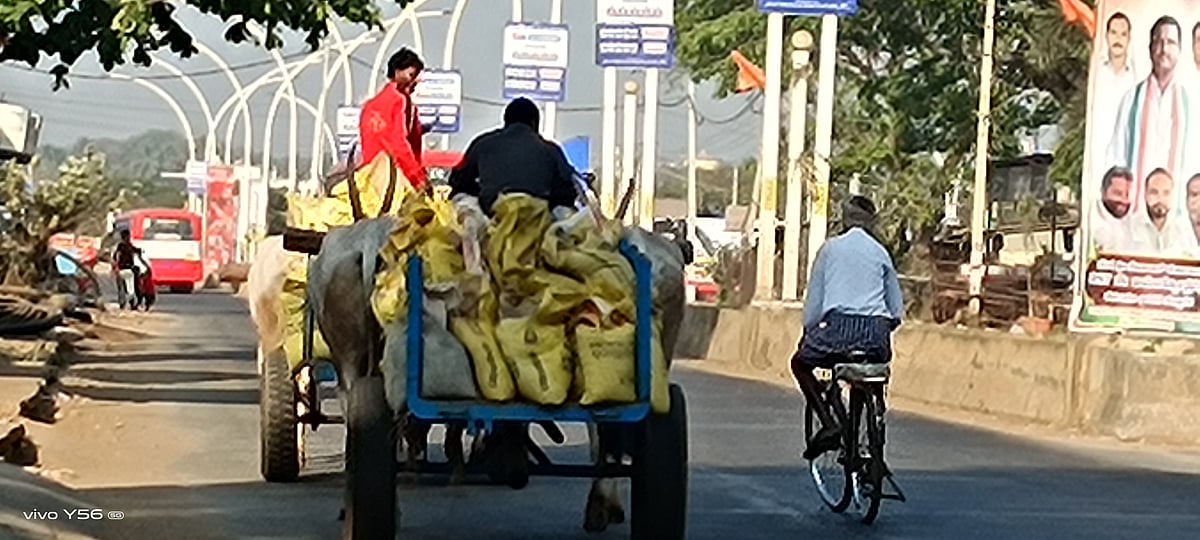 ಹೊನ್ನಾಳಿ: ಎತ್ತಿನ ಬಂಡಿಯಲ್ಲಿ ಮರಳು ಸಾಗಣೆ