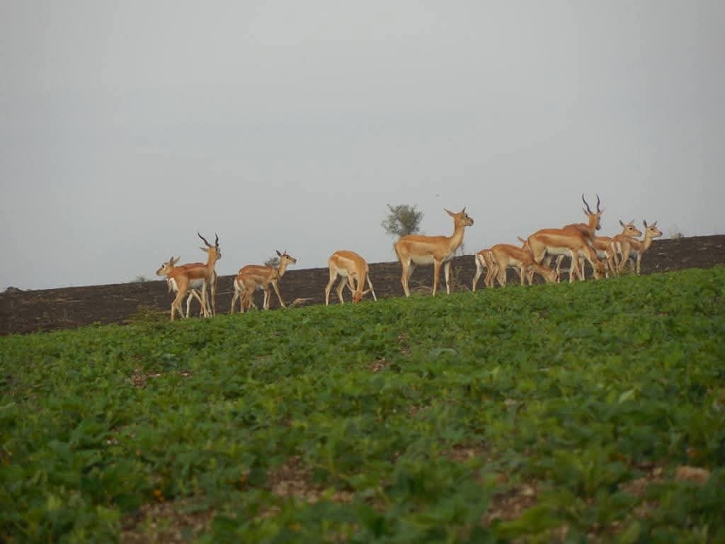 ಯಲಬುರ್ಗಾ: ರೈತರ ಹಿತರಕ್ಷಣೆ, ಉದ್ಯೋಗ ಭದ್ರತೆ ನಿರೀಕ್ಷೆ