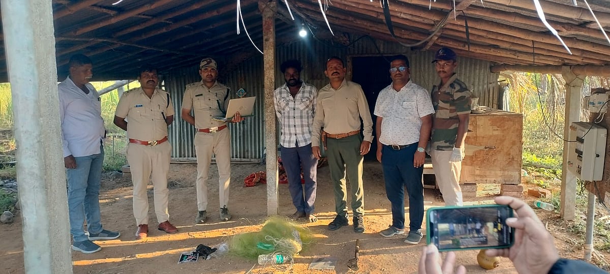 ಕೊಳ್ಳೇಗಾಲ | ಉರುಳಿಗೆ ಹುಲಿ ಬಲಿ ಪ್ರಕರಣ; ಆರೋಪಿಯ ಬಂಧನ