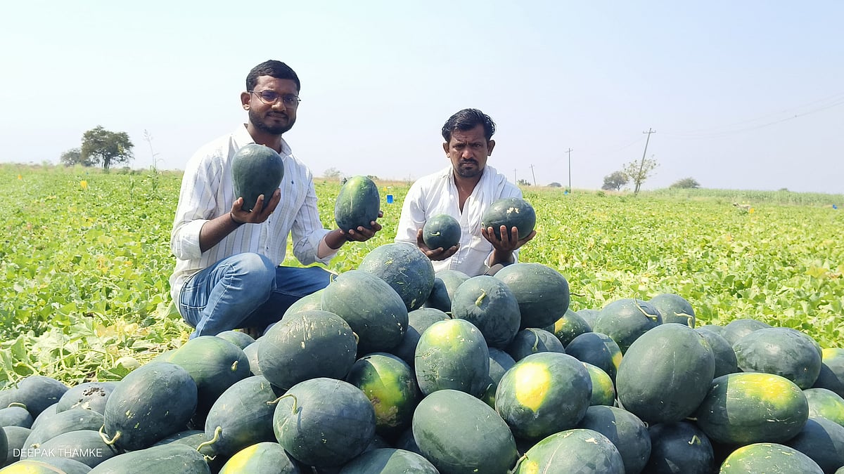 ಭಾಲ್ಕಿ: ಕಲ್ಲಂಗಡಿ ಬೆಳೆದು ಕೈ ತುಂಬಾ ಆದಾಯ