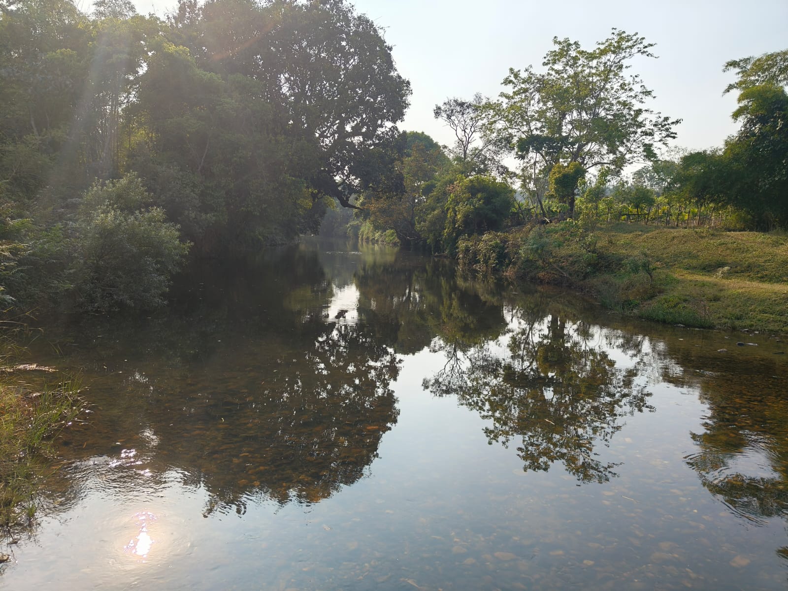 ಮೂಡಿಗೆರೆ ತಾಲ್ಲೂಕಿನ ಕಿರುಗುಂದ ಗ್ರಾಮದಲ್ಲಿ ಹರಿಯುತ್ತಿರುವ ಜಪಾವತಿ ನದಿಗೆ ಕಾಫಿ ಪಲ್ಪರ್ ನೀರು ಸೇರ್ಪಡೆಯಾಗಿ ನೀರು ಕಪ್ಪಾಗಿರುವುದು