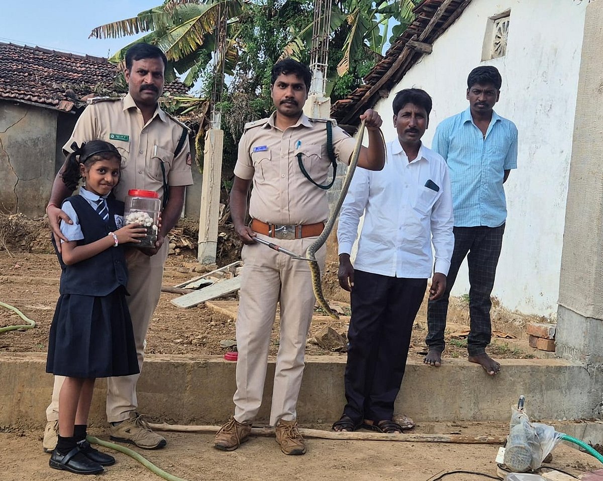 ಮುಂಡಗೋಡ: ಪಾಯ ತೆಗೆಯುವಾಗ ಕಾಣಿಸಿಕೊಂಡ ಹಾವಿನ ರಕ್ಷಣೆ; ಮೊಟ್ಟೆಗಳ ಸಂಗ್ರಹ