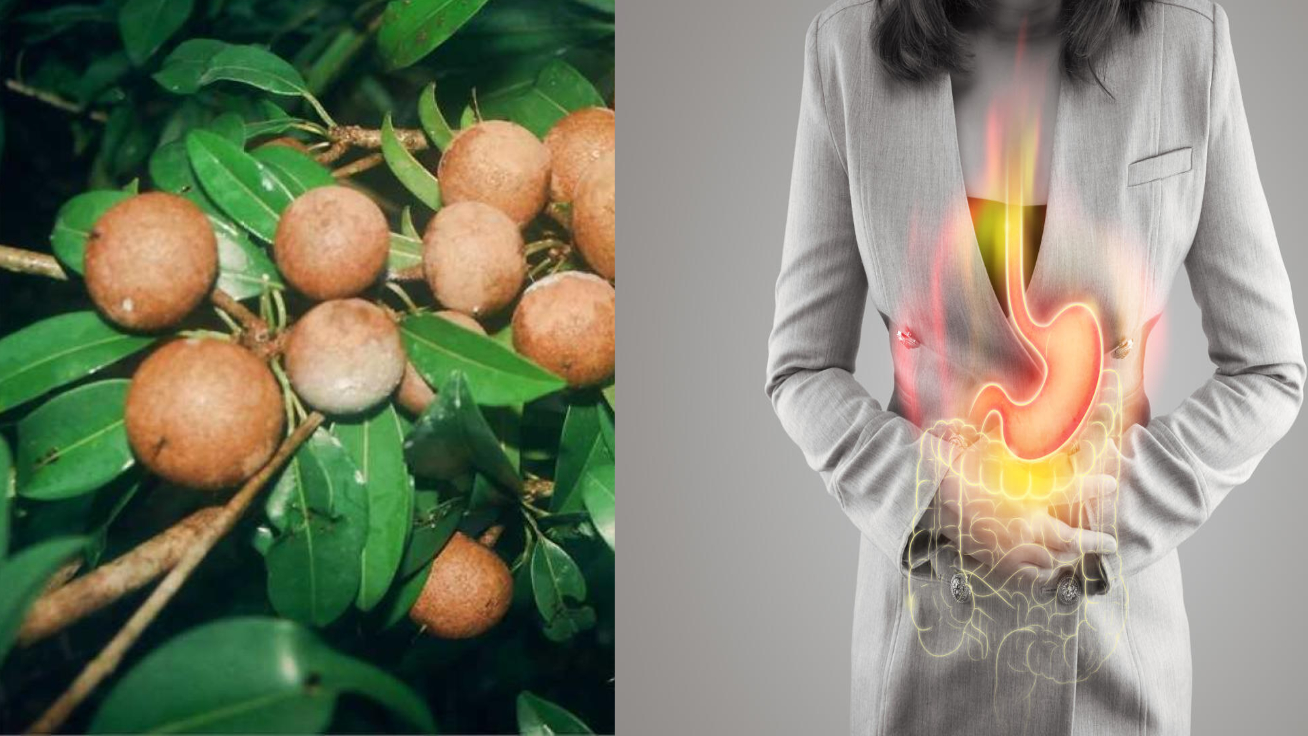 ಗೆಟ್ಟಿ ಚಿತ್ರ