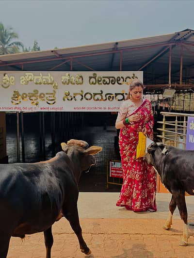 ಸಿಗಂದೂರು ಚೌಡೇಶ್ವರಿ ದೇವಸ್ಥಾನದ ಪರಿಸರವನ್ನು ಸುಕೃತಾ ಅವರು ಆನಂದಿಸಿದ್ದಾರೆ. 