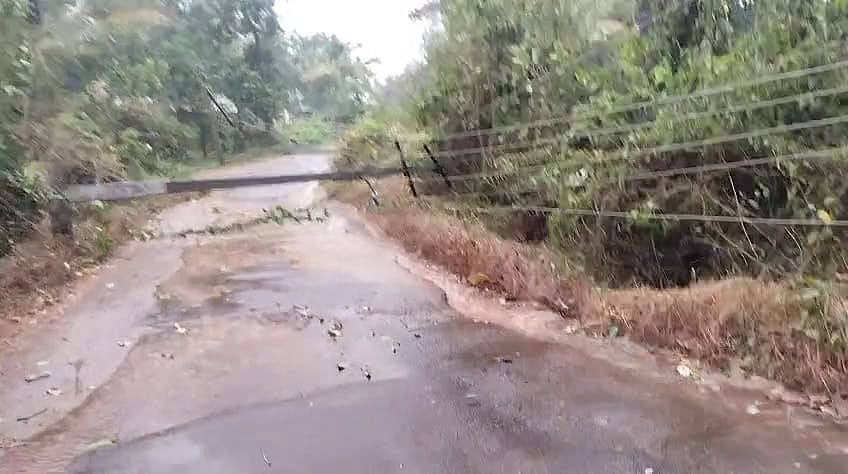 ಬೆಳ್ತಂಗಡಿ: ಹಲವೆಡೆ ಸಿಡಿಲು ಸಹಿತ ಉತ್ತಮ ಮಳೆ