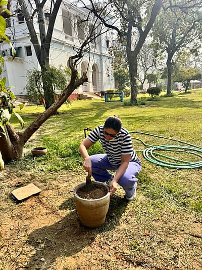 ಸೈಫ್ ಹಾಗೂ ಕರೀನಾ ಅವರು ಗಿಡ ನೆಡುವ ಚಿತ್ರಗಳನ್ನು ಸಾಮಾಜಿಕ ಮಾಧ್ಯಮ ಇನ್ಸ್ಟಾಗ್ರಾಮ್‌ನಲ್ಲಿ ಹಂಚಿಕೊಂಡಿದ್ದಾರೆ.