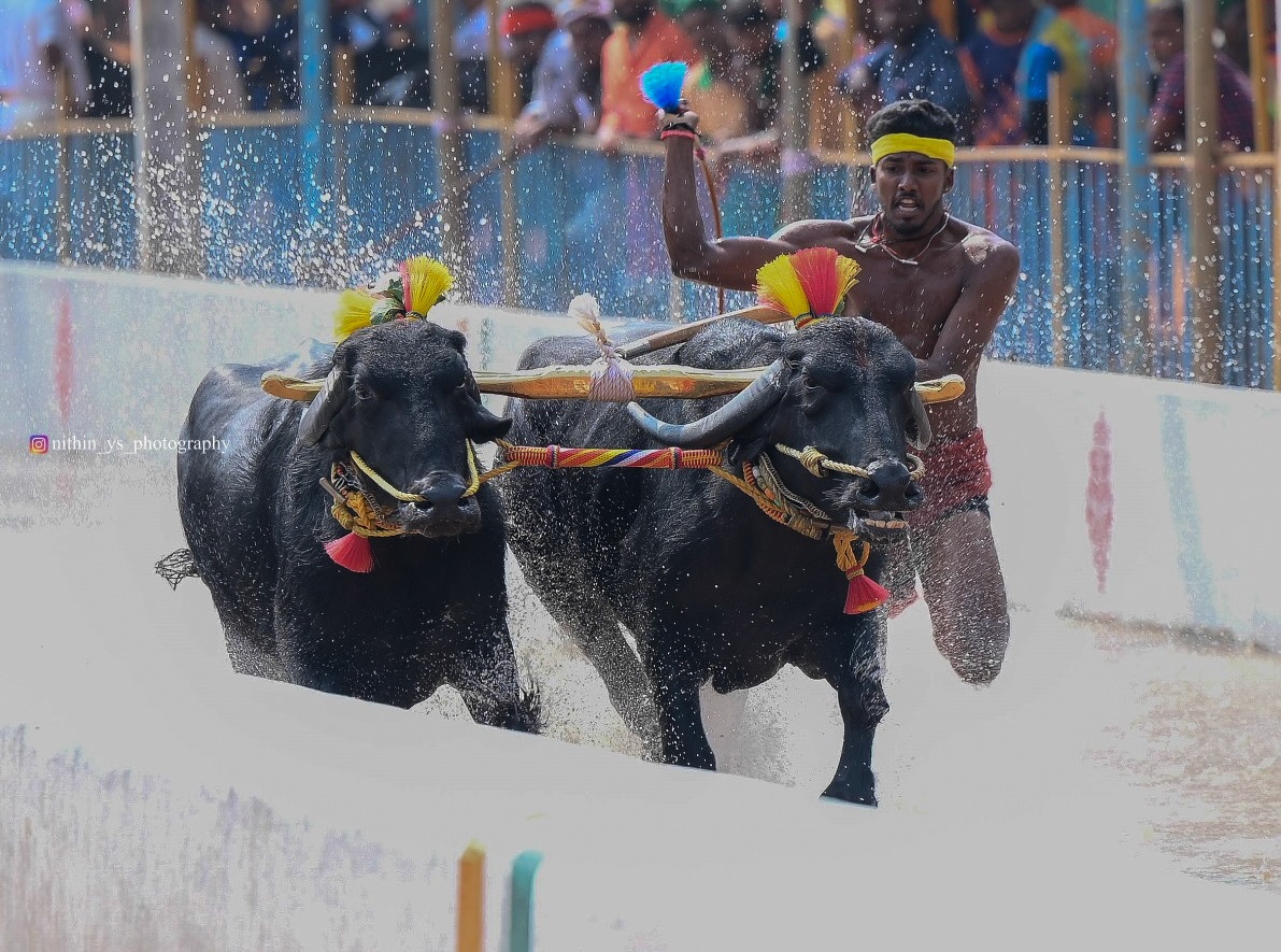 ಕಾರ್ತೇಶ್‌
