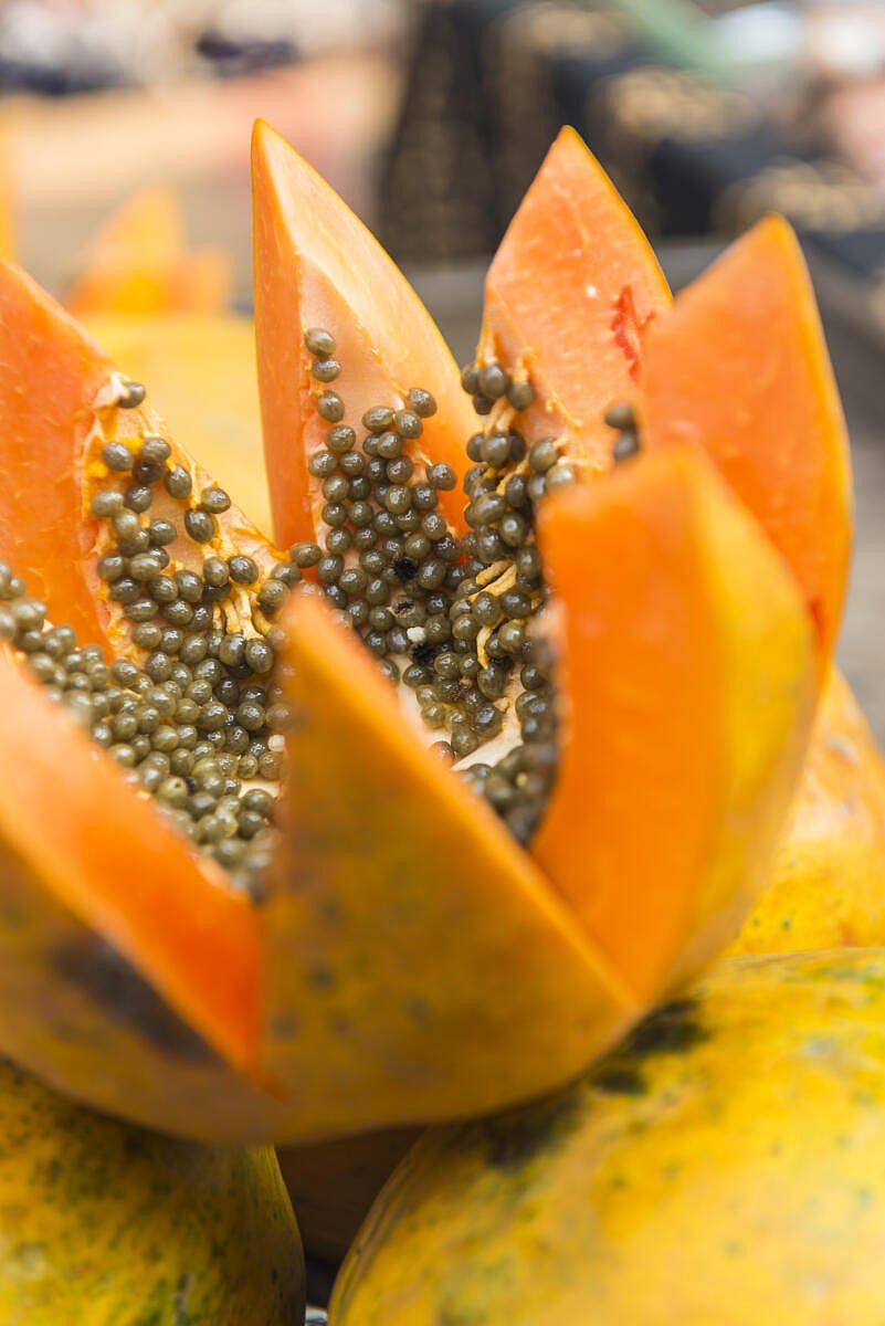 ಪಪ್ಪಾಯ ಸೇವನೆಯಿಂದ ಹಲವು ಲಾಭಗಳು: ಇಲ್ಲಿದೆ ಮಾಹಿತಿ