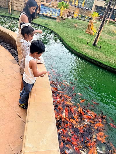 ಮಕ್ಕಳೊಂದಿಗೆ ಮೀನುಗಳಿಗೆ ಆಹಾರ ಹಾಕುತ್ತಾ ಸಮಯ ಕಳೆಯುತ್ತಿರುವ ರಾಧಿಕಾ, ಮುಂಬೈ ಡೈರೀಸ್‌ ಎಂದು ಒಂದಷ್ಟು ಫೋಟೊಗಳನ್ನು ಸಾಮಾಜಿಕ ಜಾಲತಾಣದಲ್ಲಿ ಹಂಚಿಕೊಂಡಿದ್ದಾರೆ.