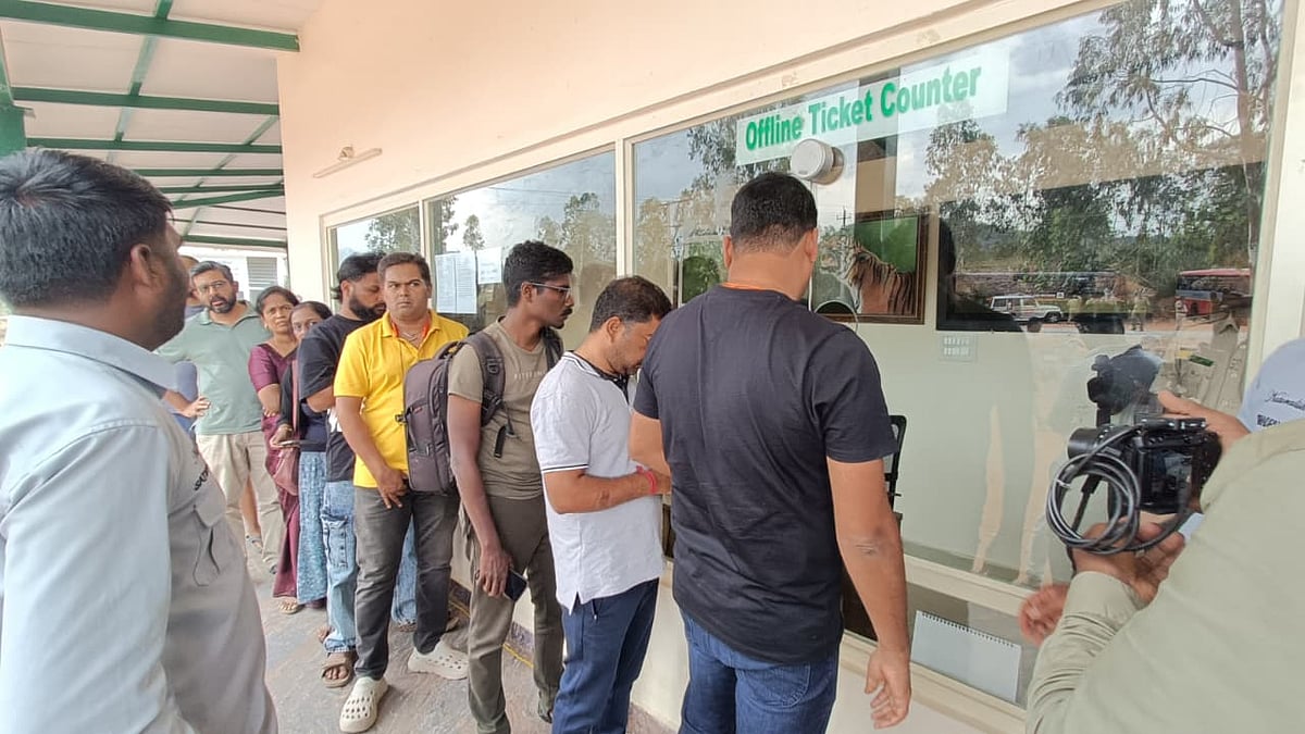 ಚಾಮರಾಜನಗರ: ಬಂಡೀಪುರ ಹುಲಿ ಸಂರಕ್ಷಿತ ಪ್ರದೇಶದಲ್ಲಿ ಸಫಾರಿ ಮರು ಆರಂಭ