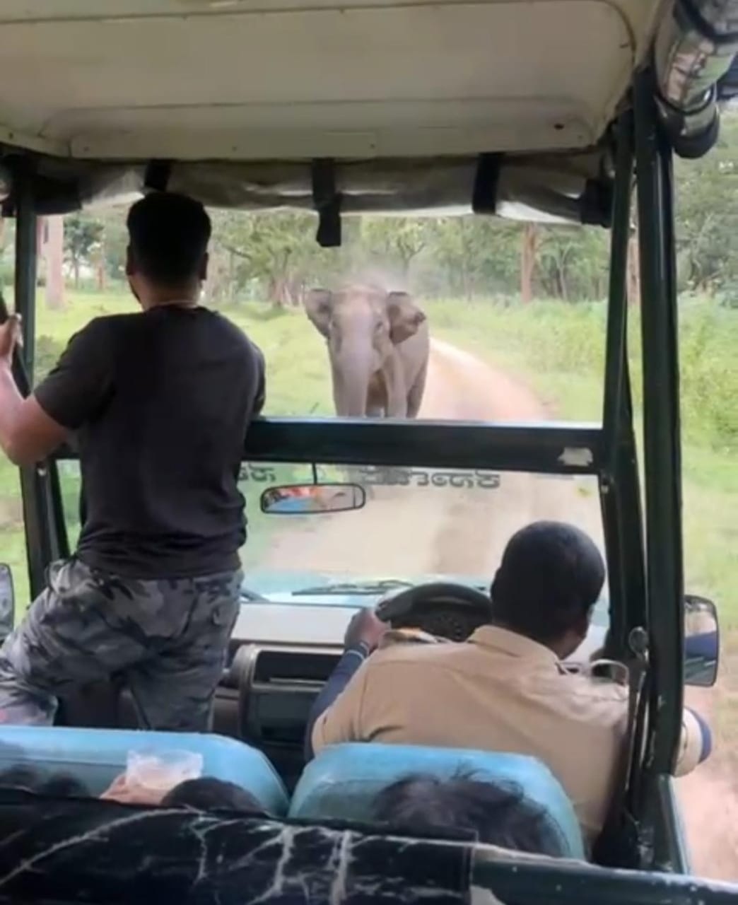 ಬಂಡೀಪುರ ಹುಲಿ ಸಂರಕ್ಷಿತಾರಣ್ಯದಲ್ಲಿ ಸಫಾರಿ ವೇಳೆ ಕಾಡಾನೆಯೊಂದು ಜೀಪ್ ಅಟ್ಟಾಡಿಸುತ್ತಿರುವುದು (ಸಂಗ್ರಹ ಚಿತ್ರ)