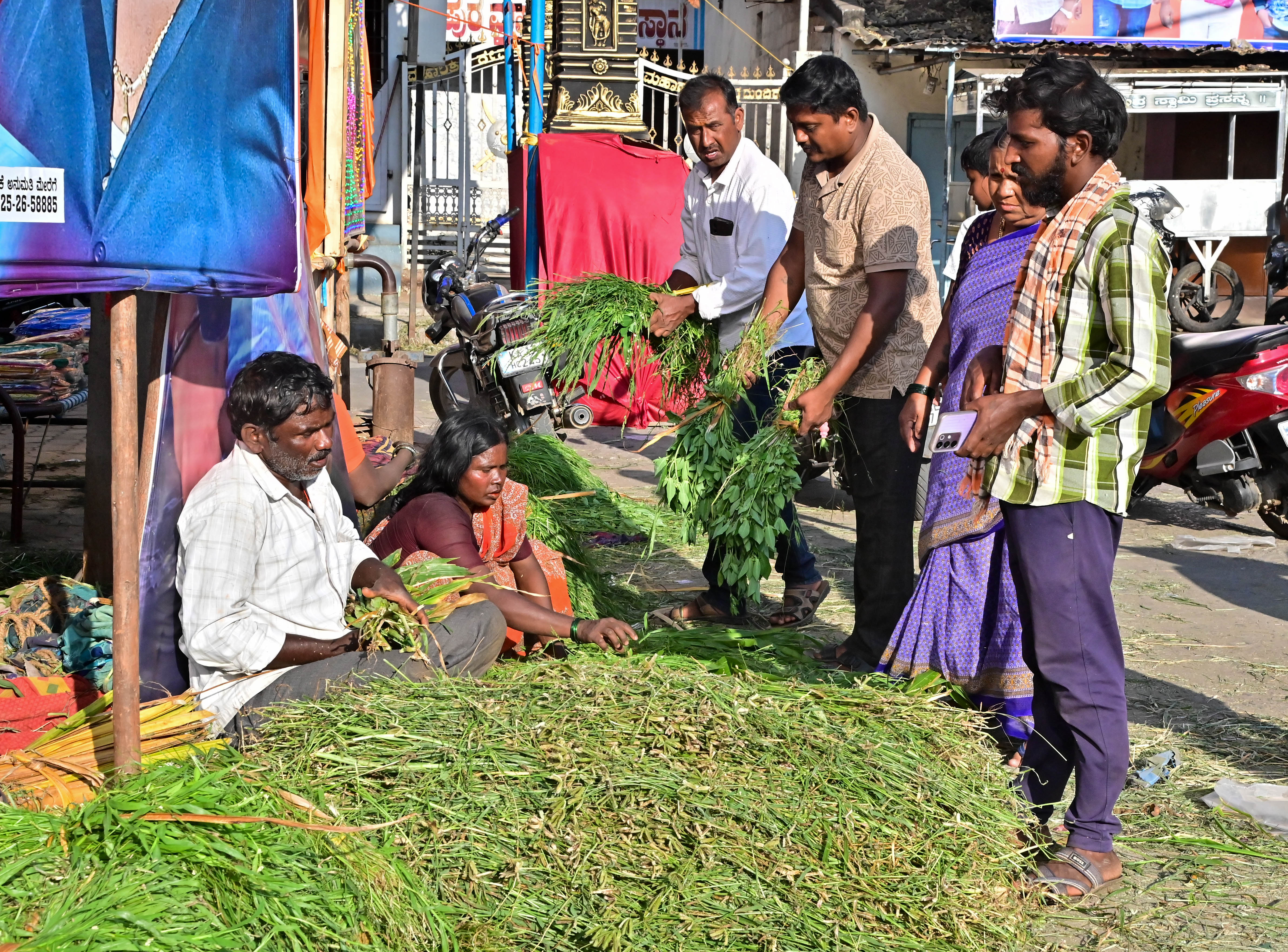 ಕುರಿಗಳಿಗಾಗಿ ಹುಲ್ಲು ಖರೀದಿಯಲ್ಲಿ ತೊಡಗಿರುವ ಗ್ರಾಹಕರು