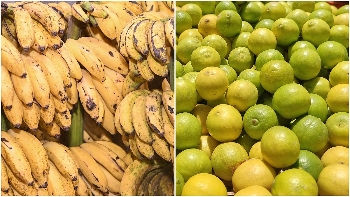 ದೇಶದ ಗಡಿಯಾಚೆಯೂ ಬೇಡಿಕೆ ಹೆಚ್ಚಿಸಿಕೊಂಡ ನಂಜನಗೂಡು ರಸಬಾಳೆ, ಇಂಡಿಯ ಕಾಗ್ಝಿ ಲಿಂಬೆ