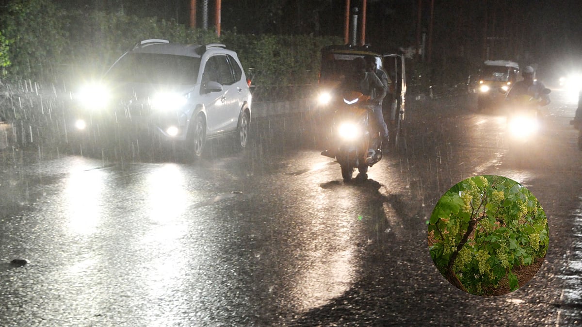 ವಿಜಯಪುರ, ತಿಕೋಟಾದಲ್ಲಿ ಗುಡುಗು ಸಹಿತ ಮಳೆ: ದ್ರಾಕ್ಷಿ ಬೆಳೆಗಾರರಲ್ಲಿ ಆತಂಕ