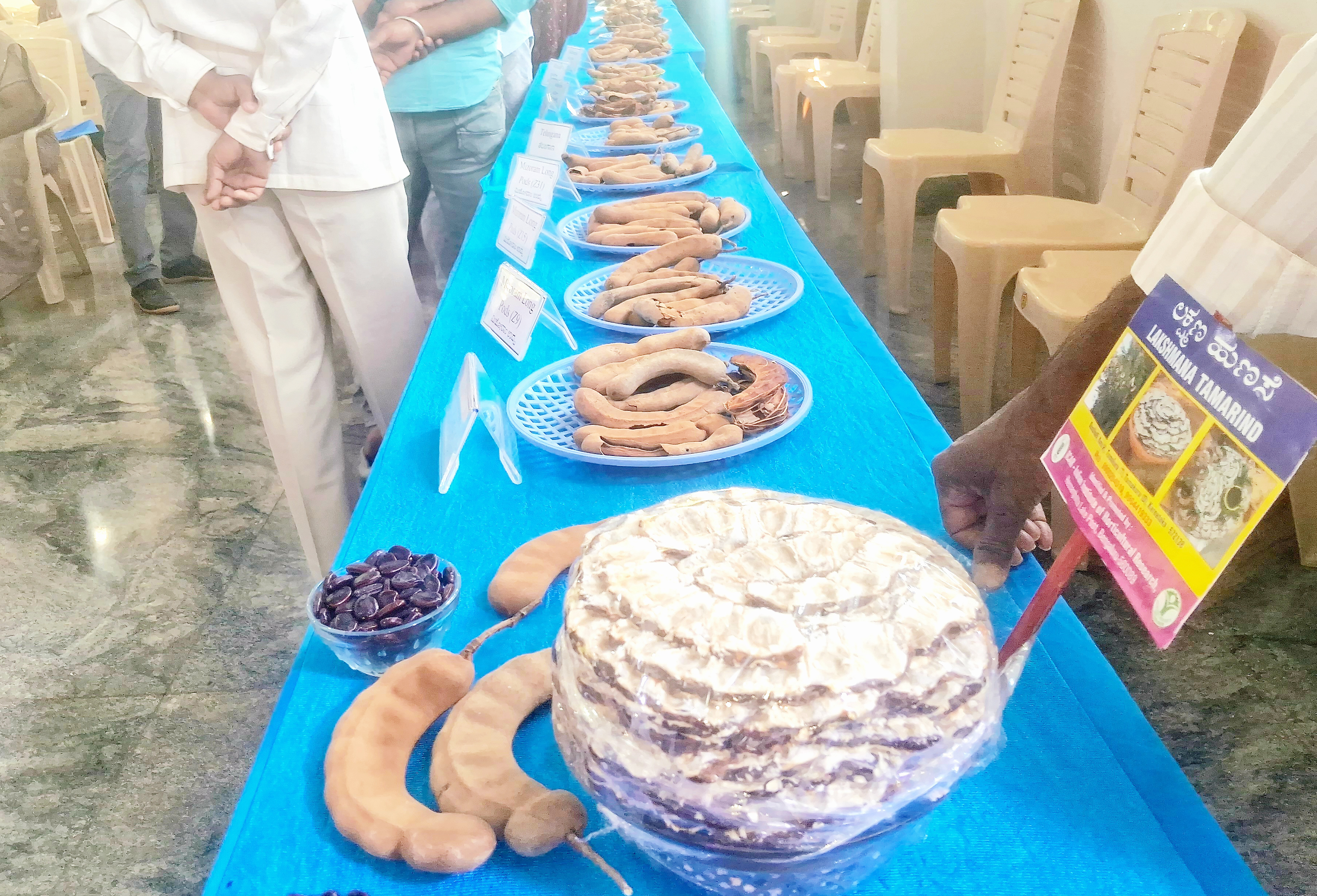 ಕಾರ್ಯಾಗಾರದಲ್ಲಿ ಗಮನ ಸೆಳೆದ ಹುಣಸೆ ಹಣ್ಣು ಪ್ರದರ್ಶನ