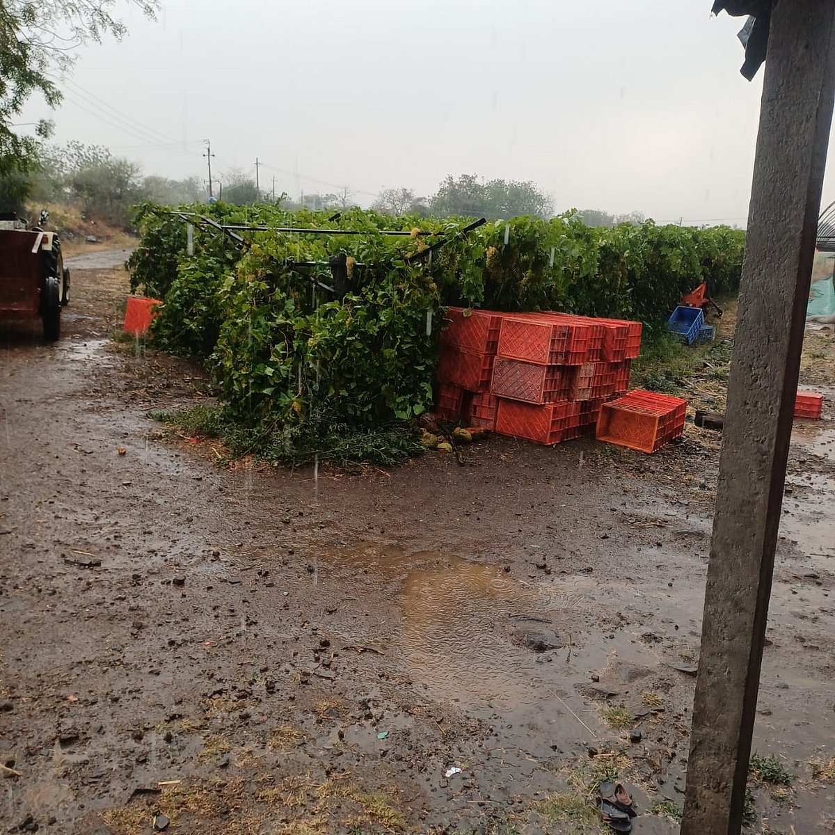 ಗದಗ, ವಿಜಯಪುರ, ಬಾಗಲಕೋಟೆಯಲ್ಲಿ ಮಳೆ