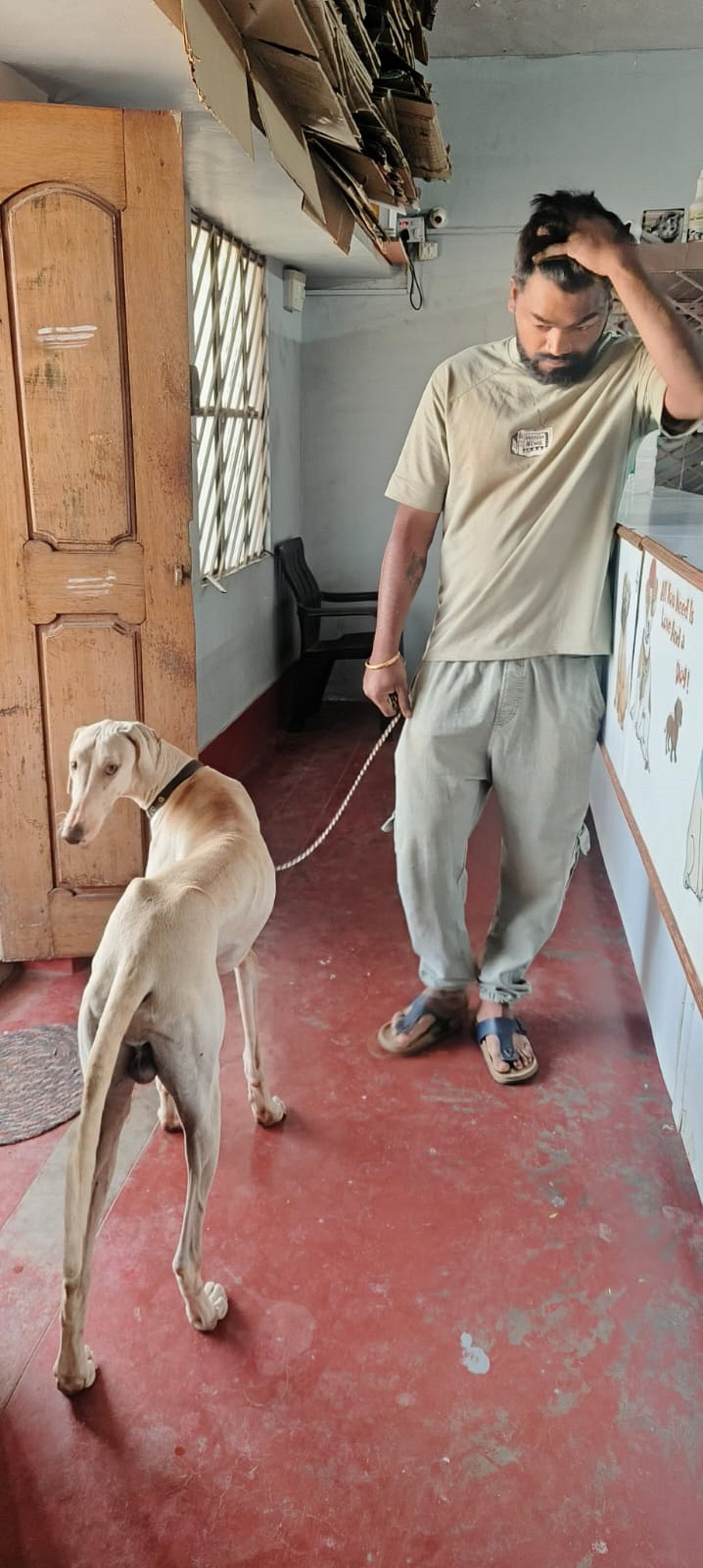 ಸ್ಪೋಟಕ ಸೇವಿಸಿ ಮುಧೋಳ ನಾಯಿ ಸಾವು