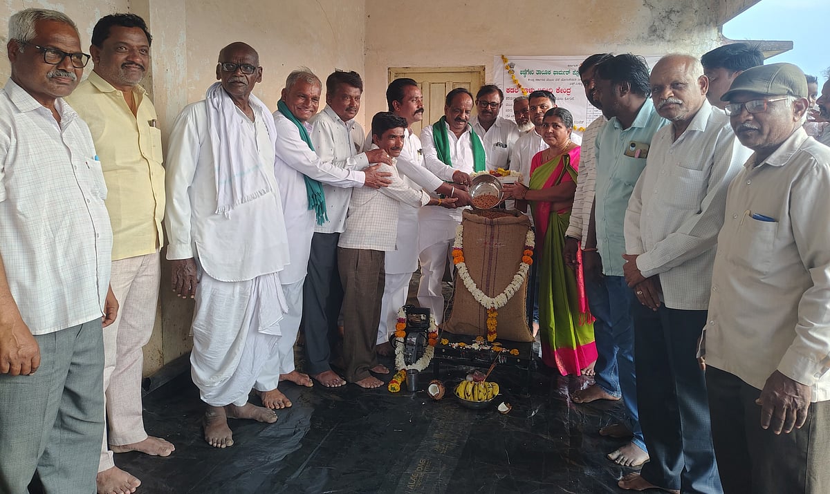 ಅಣ್ಣಿಗೇರಿ: ಕಡಲೆ ಖರೀದಿಗೆ ಚಾಲನೆ