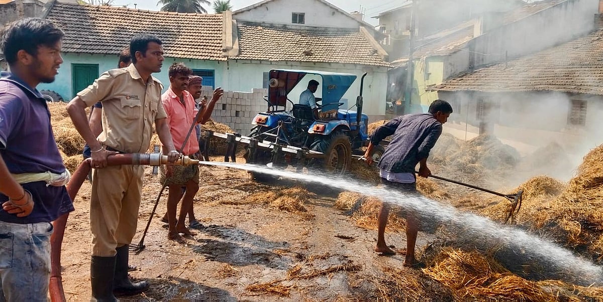 ಮಲೇಬೆನ್ನೂರು | ಅಗ್ನಿ ಆಕಸ್ಮಿಕ; 12 ಭತ್ತದ ಬಣವೆ ಭಸ್ಮ