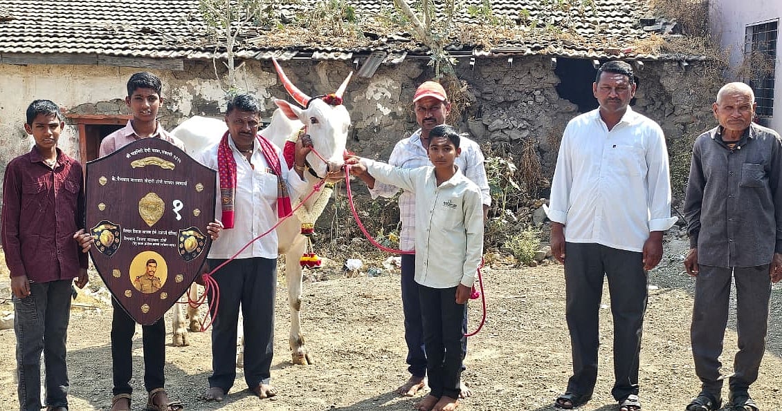 ಕಾಗವಾಡ | ಎತ್ತಿನ ಅದ್ದೂರಿ ಜನ್ಮದಿನ!