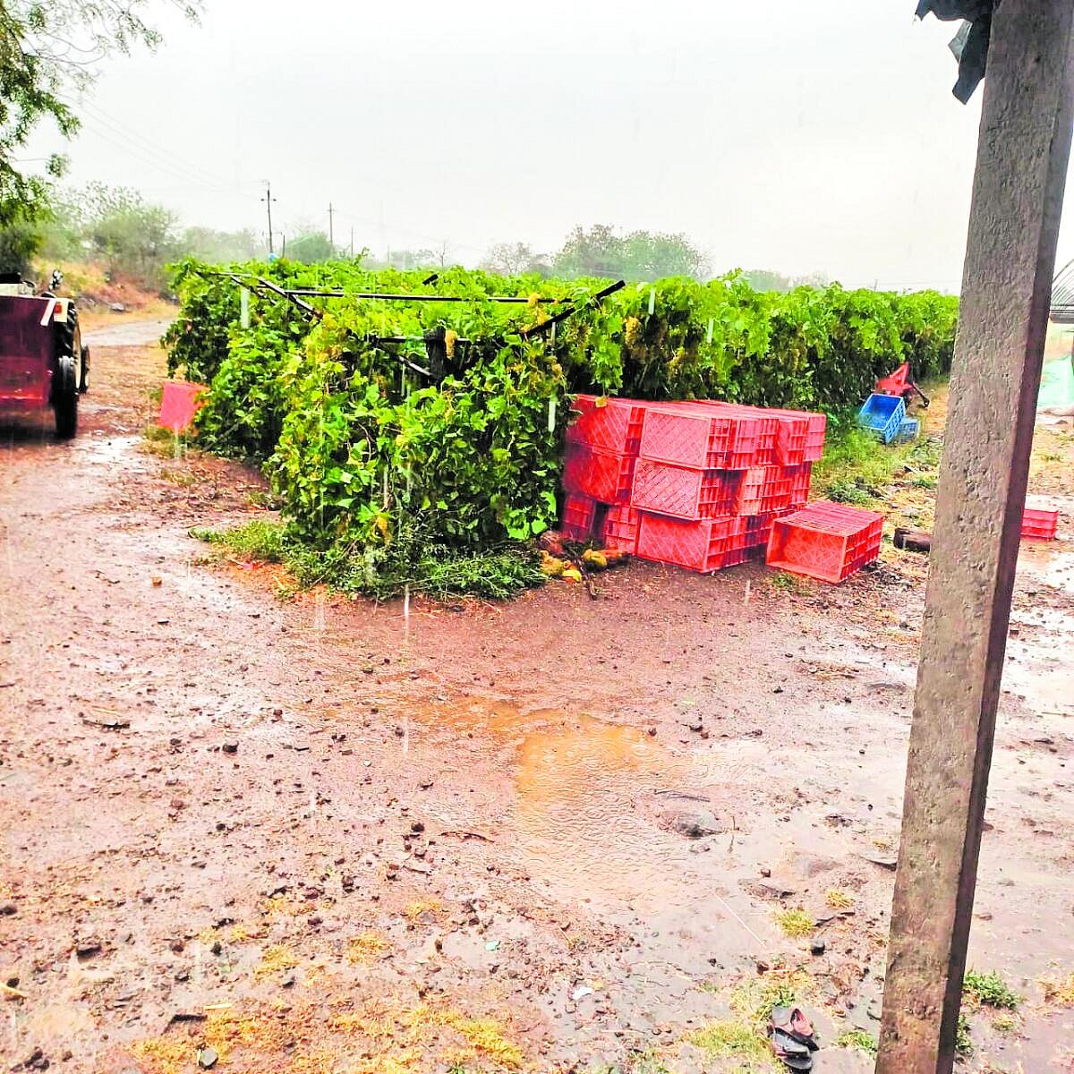 karnataka rains: ಕಲ್ಯಾಣ, ಕಿತ್ತೂರು ಕರ್ನಾಟಕದಲ್ಲಿ ಮಳೆ