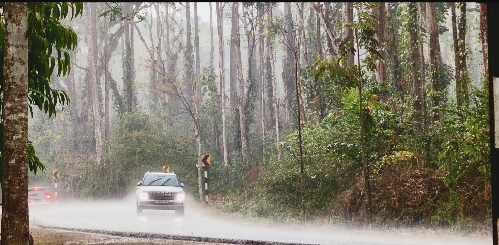 ಆಲ್ದೂರಿನಲ್ಲಿ ಮಂಗಳವಾರ ಸುರಿಯಿತು