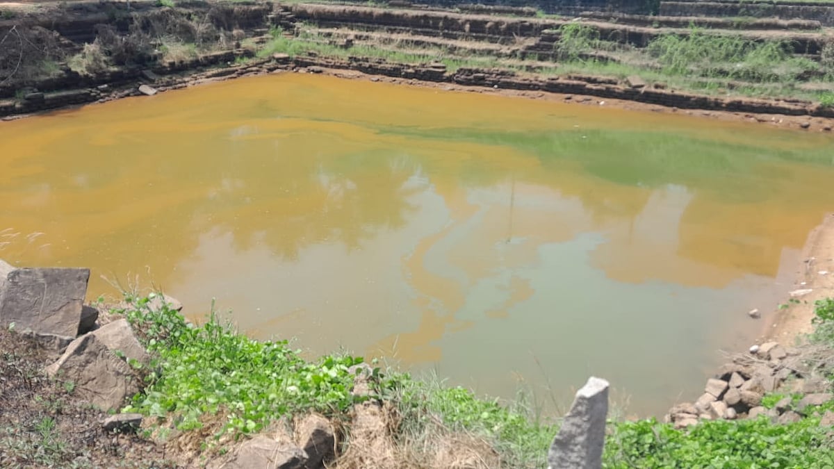 ಶಿರ್ವ: ಕಟ್ಟಿಕೆರೆ ಅಭಿವೃದ್ಧಿಯ ಕನಸು ನನಸು