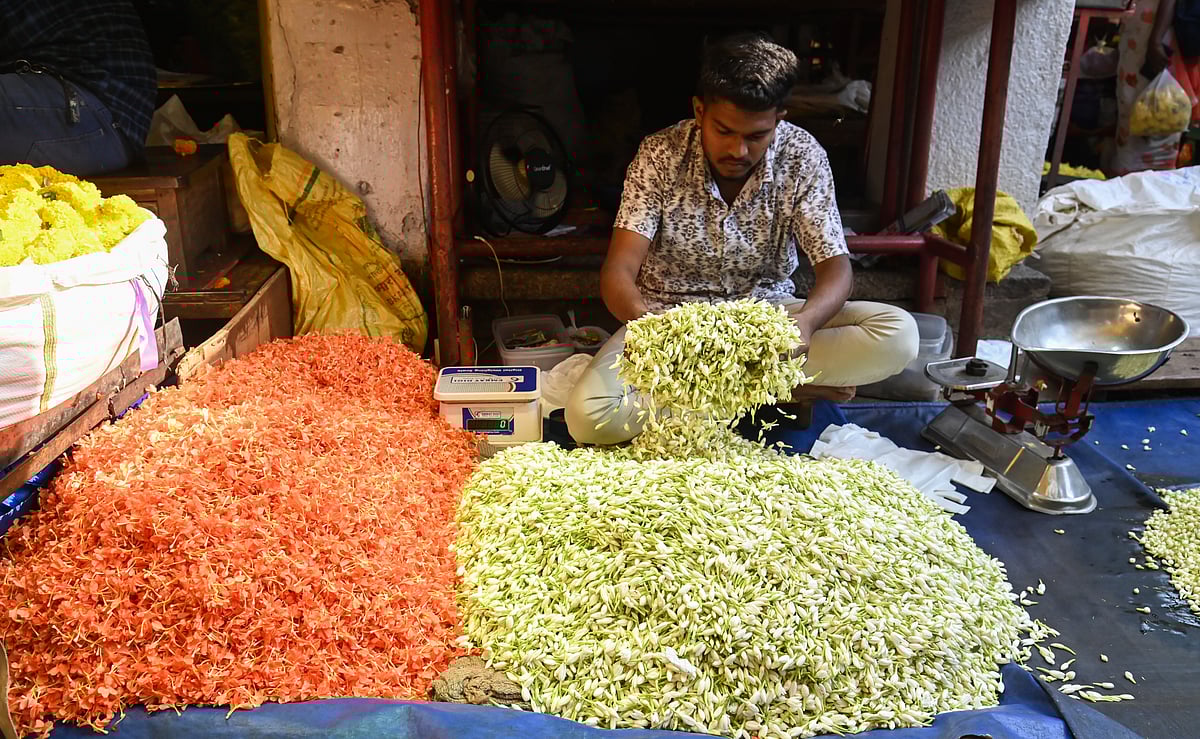 ಕನಕಾಂಬರ ಕೆ.ಜಿ.ಗೆ ಕೇವಲ ₹160!