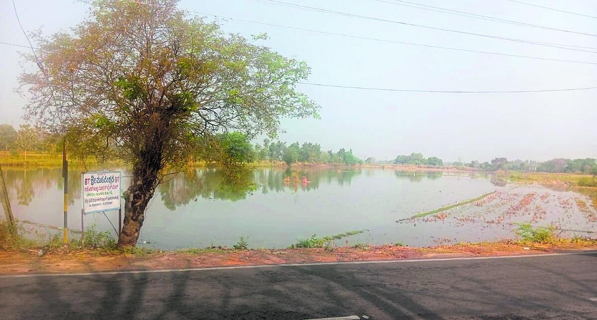 Karnataka Rains | ಮೈಸೂರು, ಶಿವಮೊಗ್ಗದಲ್ಲಿ ಮಳೆ: ಜಮೀನುಗಳಿಗೆ ನುಗ್ಗಿದ ನೀರು 