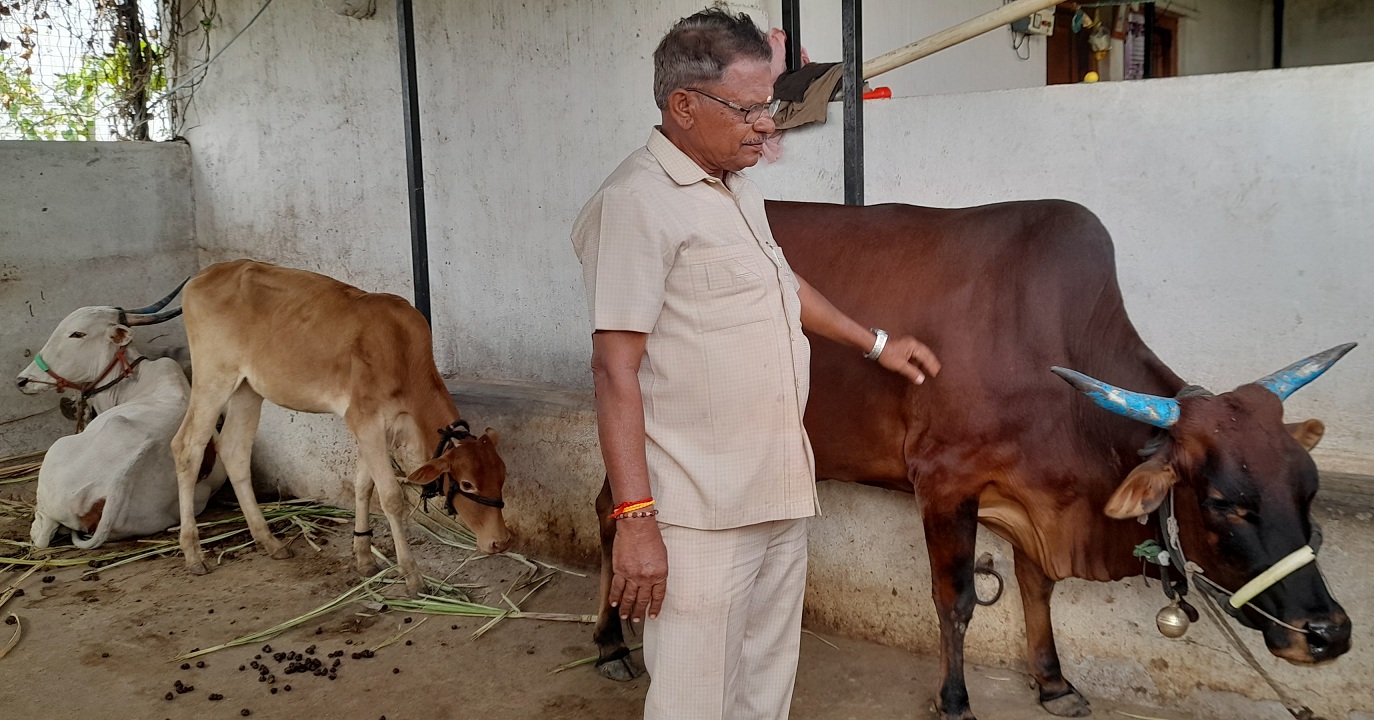 ಸಾವಯವ ಕೃಷಿ ಹಾಗೂ ಹೈನುಗಾರಿಕೆಗೆ ಸಹಾಯಕವಾದ ಗೋವುಗಳೊಂದಿಗೆ ಶಾಂತಪ್ಪ