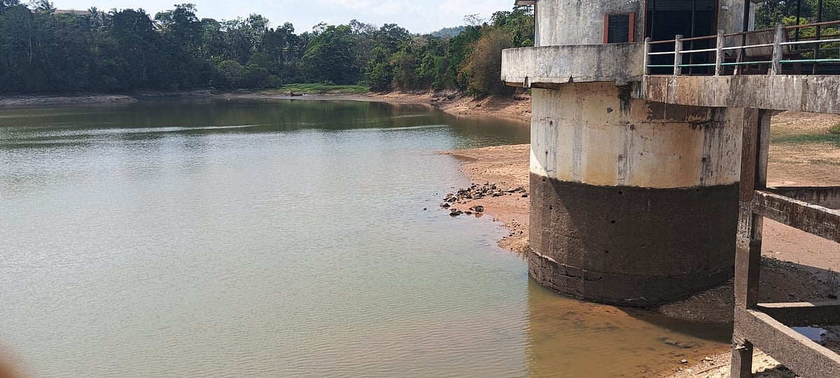 ಕೊಪ್ಪ | ನೀರಿಗಿಲ್ಲ ಕೊರತೆ: ವಿದ್ಯುತ್ ಸಮಸ್ಯೆ