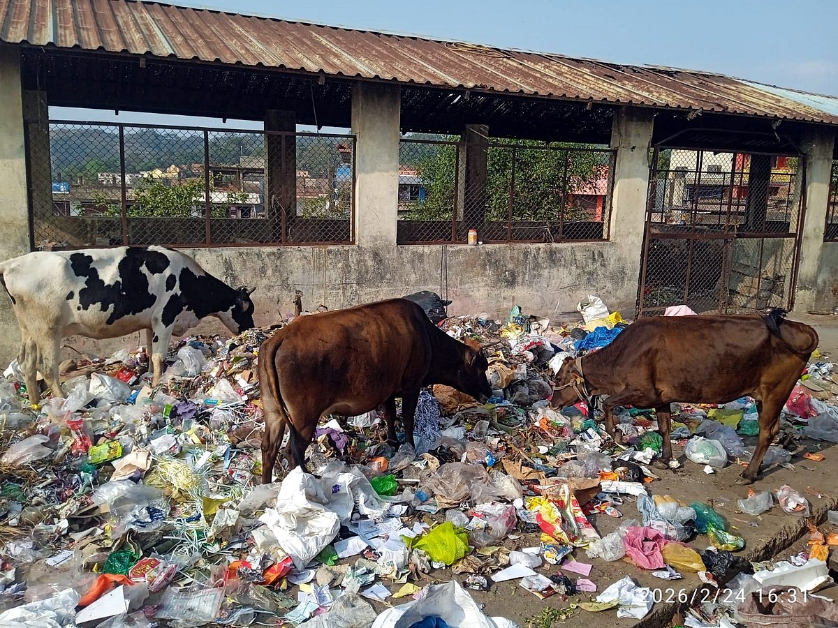 ಸೋಮವಾರಪೇಟೆ | ಪಟ್ಟಣ ಕಾಡುತ್ತಿರುವ ಪ್ಲಾಸ್ಟಿಕ್ ತ್ಯಾಜ್ಯ