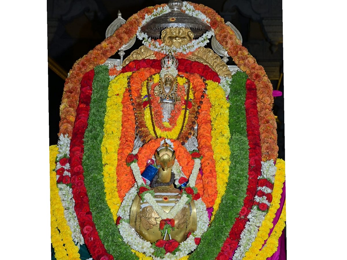 ನಾಗಮಂಗಲ | ಶ್ರದ್ಧಾ ಭಕ್ತಿಯ ಮಲ್ಲೇಶ್ವರ ಸ್ವಾಮಿ ರಥೋತ್ಸವ