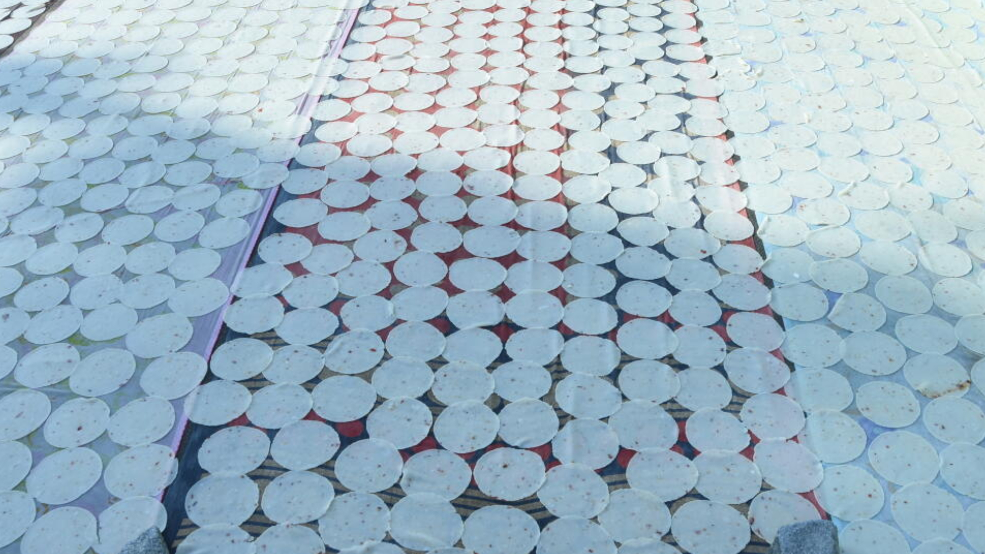 ಬಿಸಿಲಿನಲ್ಲಿ ಒಣಗುತ್ತಿರುವ ಹಪ್ಪಳ