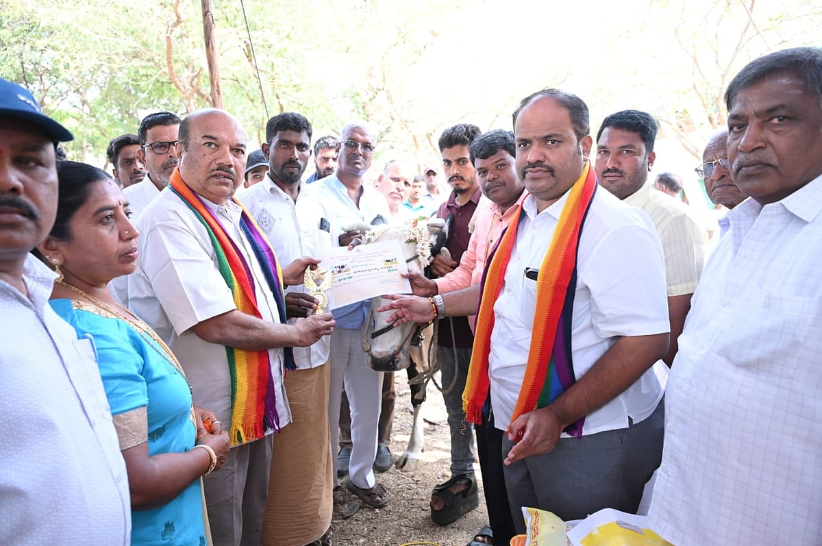 ಗುಂಡ್ಲುಪೇಟೆ: ಹಾಲು‌ ಕರೆಯುವ ಸ್ಪರ್ಧೆ; ಮಿಶ್ರತಳಿ ಕರು ಪ್ರದರ್ಶನ