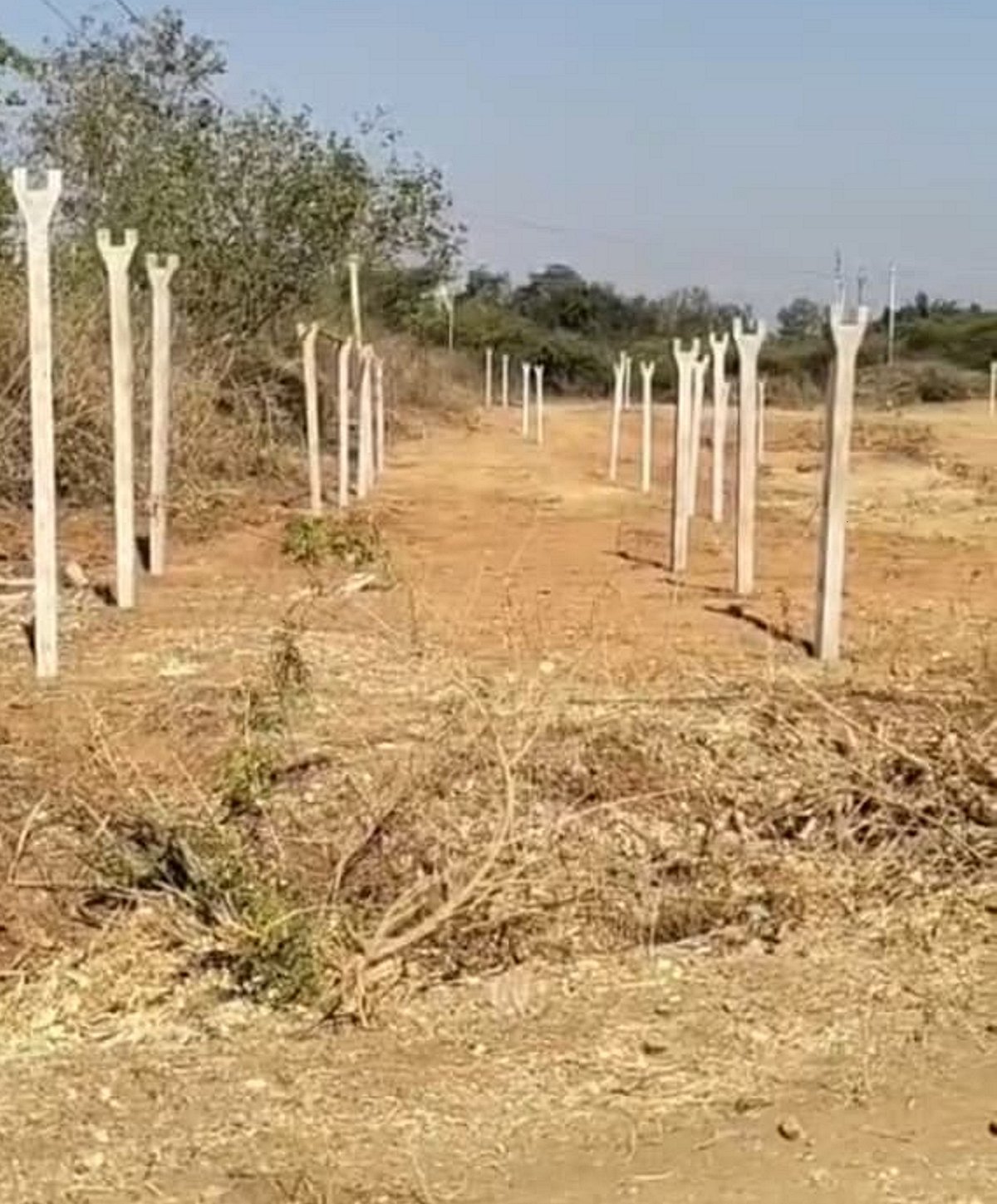 ಹಕ್ಕುಪತ್ರದ ಆಸೆ: ಸರ್ಕಾರಿ ಜಾಗದಲ್ಲಿ ಶೆಡ್ 