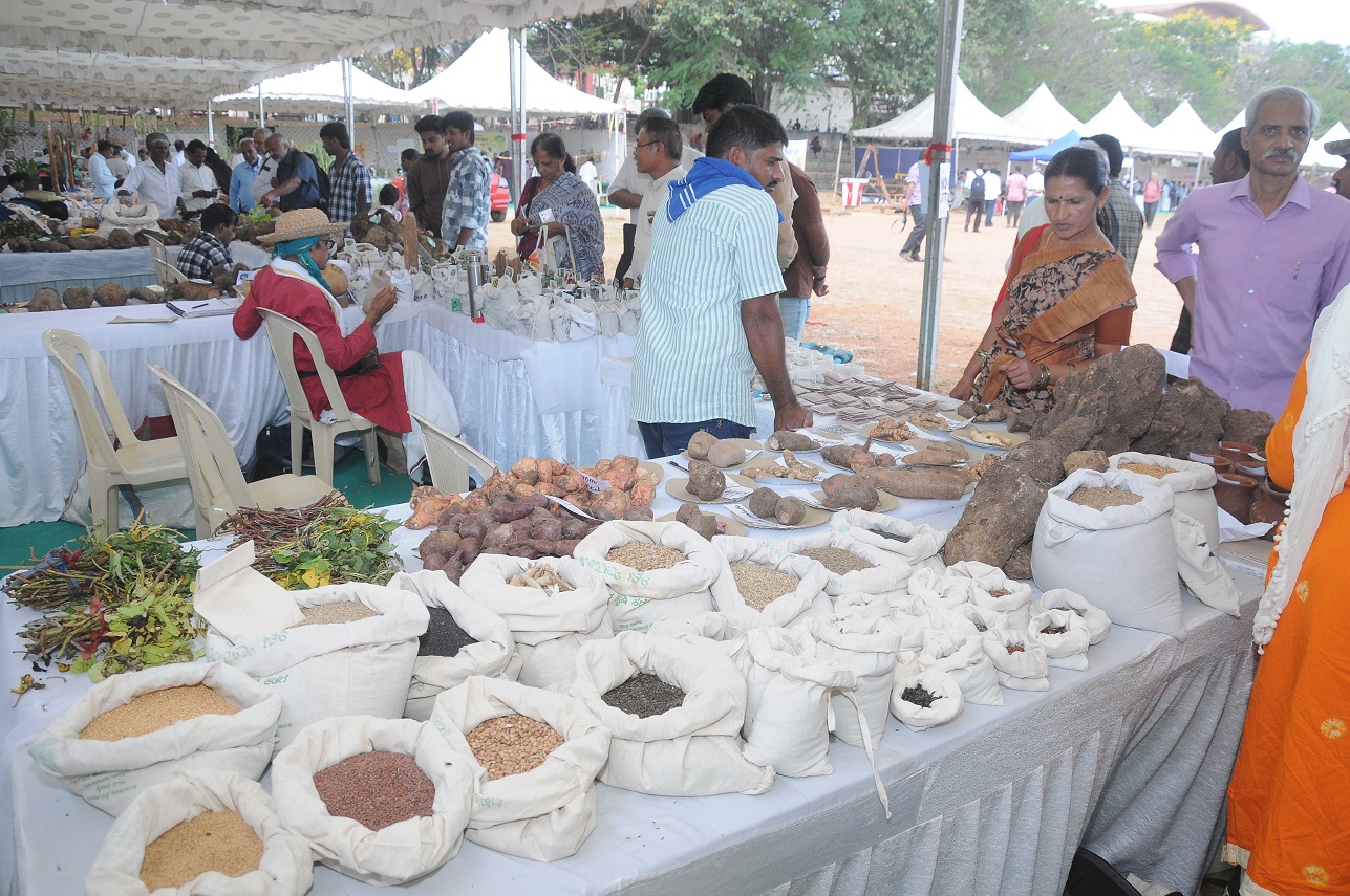 ಪ್ರದರ್ಶನ ಮತ್ತು ಮಾರಾಟಕ್ಕಿಟ್ಟಿದ್ದ ಬೀಜ– ಗೆಡ್ಡೆ ಗೆಣಸು  