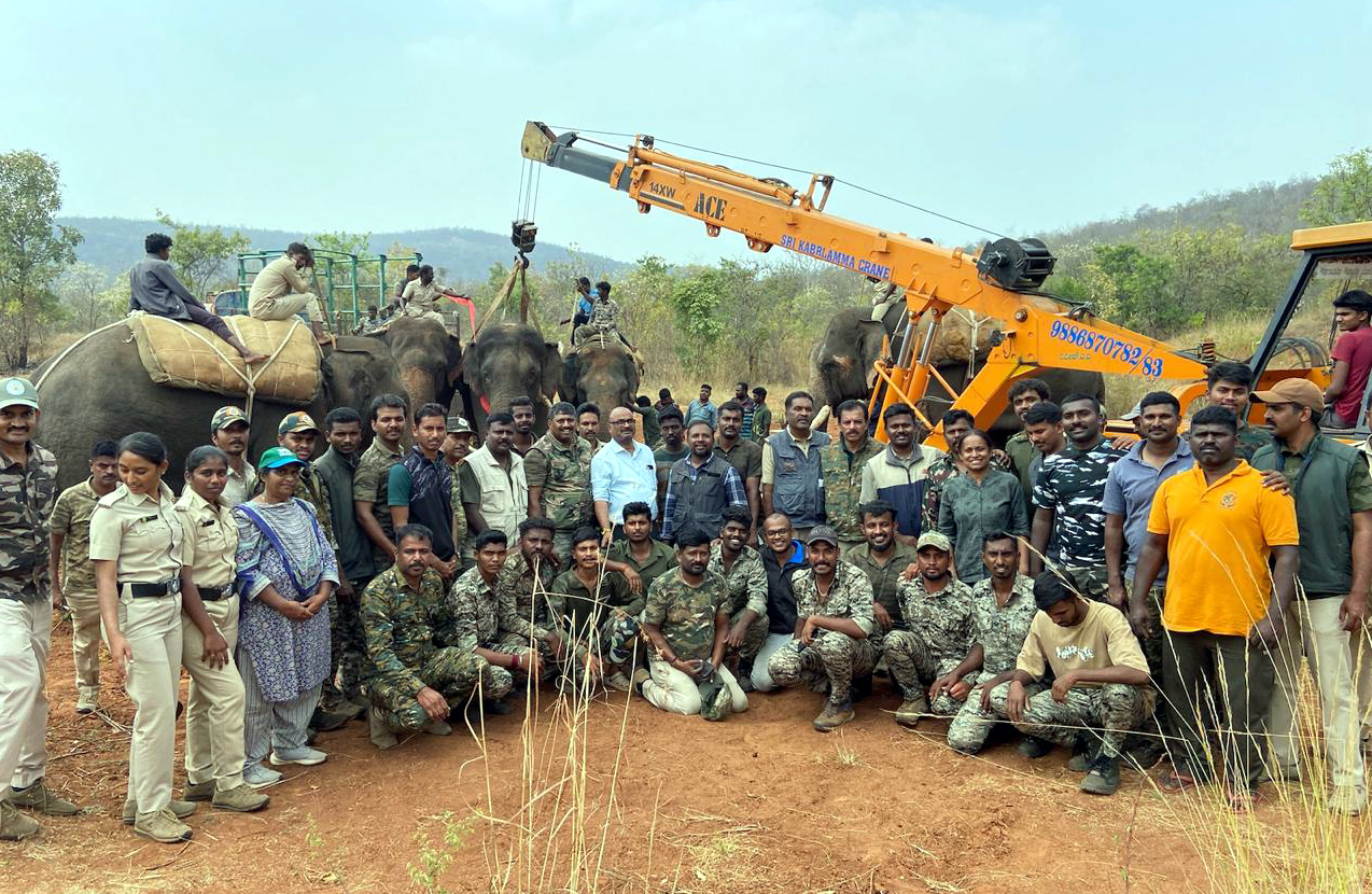 ಕೆಂಪಿಕಟ್ಟೆ ಕೆರೆ ಬಳಿ ಮಕ್ನಾ ಆನೆ ಸೆರೆ ಕಾರ್ಯಾಚರಣೆಯಲ್ಲಿ ಭಾಗವಹಿಸಿದ್ದ ಅರಣ್ಯ ಇಲಾಖೆ ತಂಡ