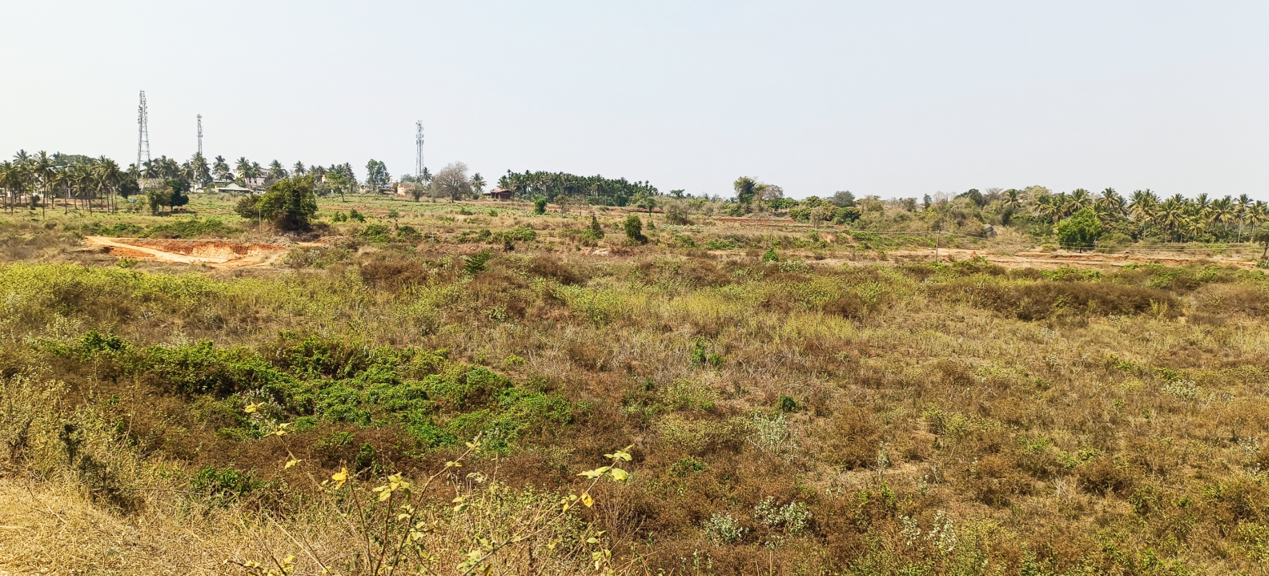 ಚಕ್ರಬಾವಿ ಕೆರೆ 30 ವರ್ಷಗಳಿಂದಲೂ ನೀರು ಕಾಣದೆ ಒಣಗಿರುವುದು