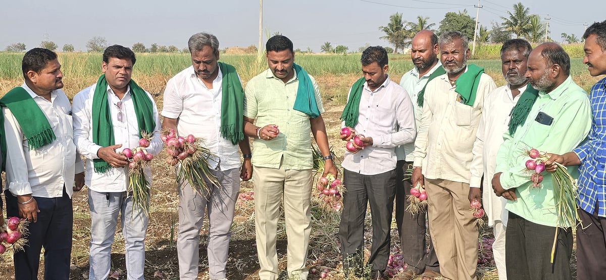 ಸರ್ಕಾರ ಈರುಳ್ಳಿ ಬೆಳೆಗಾರರ ರಕ್ಷಣೆಗೆ ನಿಲ್ಲಬೇಕಿದೆ:  ಚೂನಪ್ಪ‌ ಒತ್ತಾಯ 