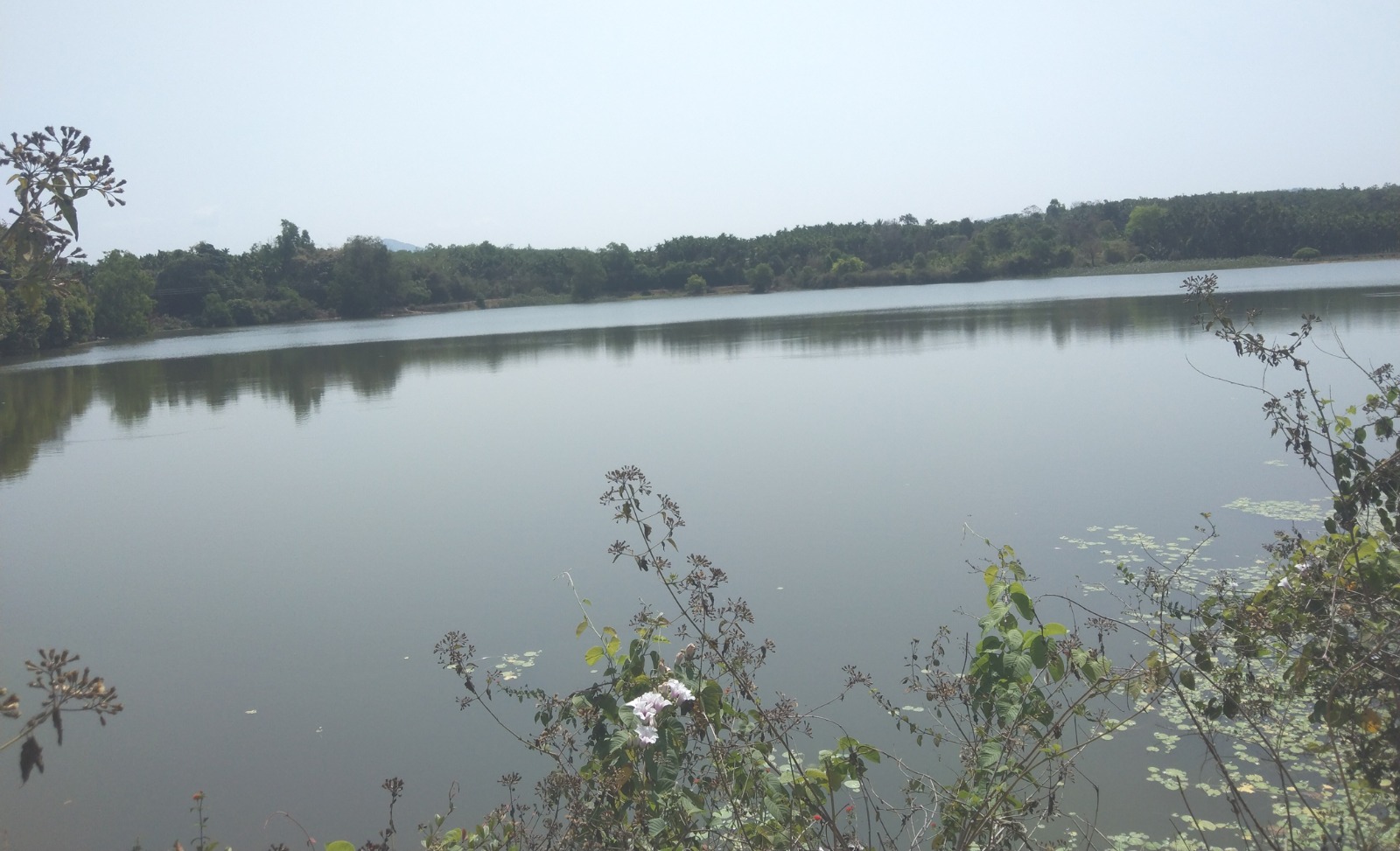 ನರಸಿಂಹರಾಜಪುರ ತಾಲ್ಲೂಕು ನಾಗಲಾಪುರ ಗ್ರಾಮದ ಬಳಿ ಇರುವ ತಾಲ್ಲೂಕಿನ ಅತಿದೊಡ್ಡ ಹೆಗ್ಗೆರಿ ಕೆರೆಯಲ್ಲಿ ನೀರು ಇರುವುದು