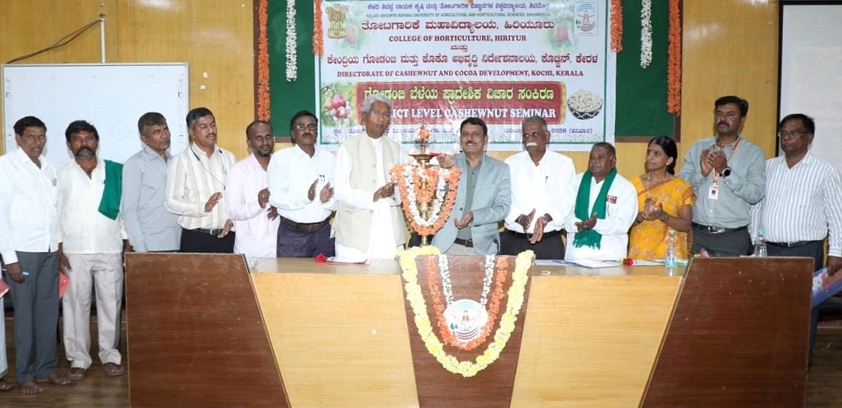 ಗೋಡಂಬಿ ಬೆಳೆಗಾರರ ನೆರವಿಗೆ ಸರ್ಕಾರಗಳು ನಿಲ್ಲಲಿ:  ಬಿ.ಎಸ್. ರಘುನಾಥ್