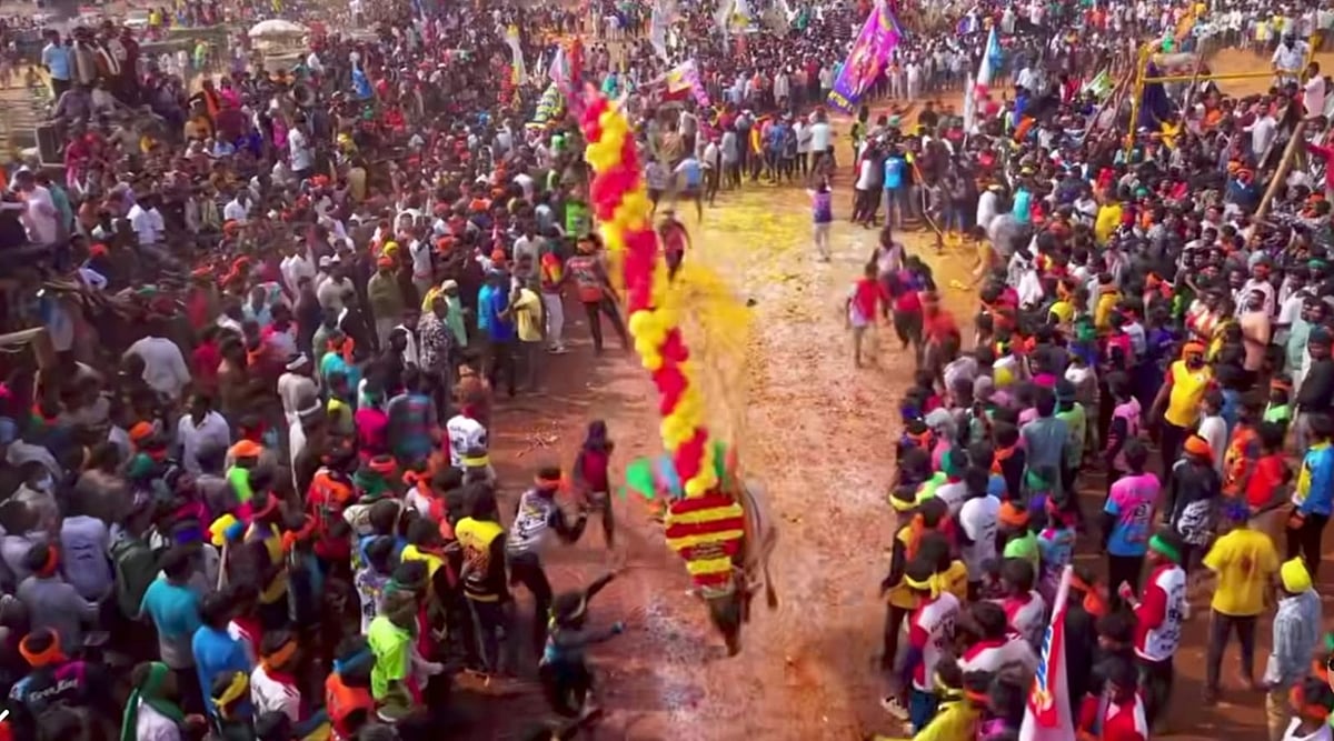 ಆನೇಕಲ್: ಮಲ್ಲಿಕಾರ್ಜುನ ದುರ್ಗಂನಲ್ಲಿ ಜಲ್ಲಿಕಟ್ಟು