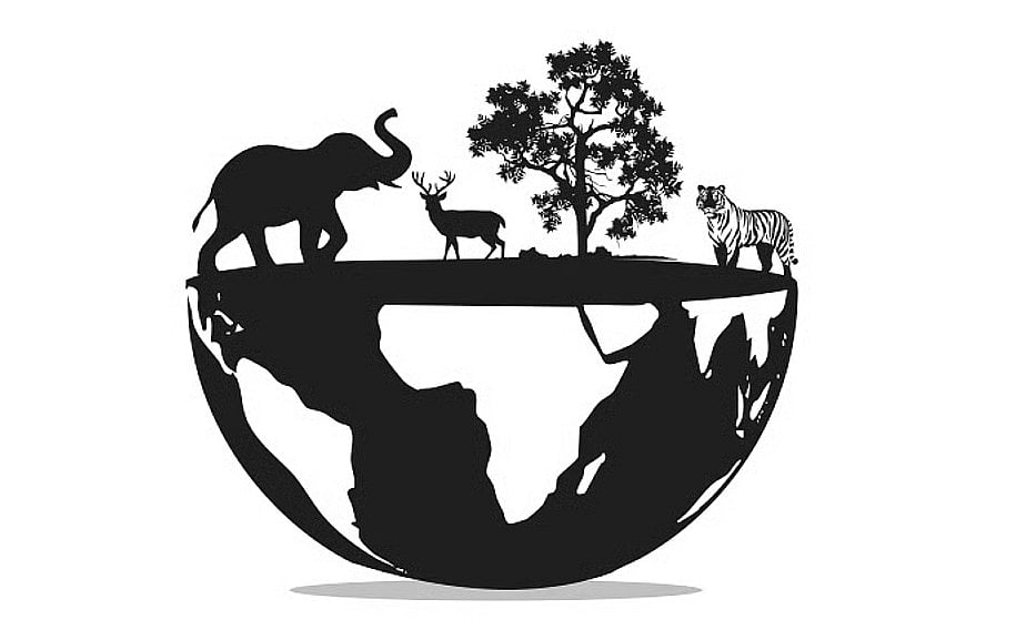 ವಿಶ್ವ ವನ್ಯಜೀವಿ ದಿನ: ತೀವ್ರ ಅಳಿವಿನಂಚಿನಲ್ಲಿರುವ 5 ಪ್ರಭೇದಗಳಿವು..