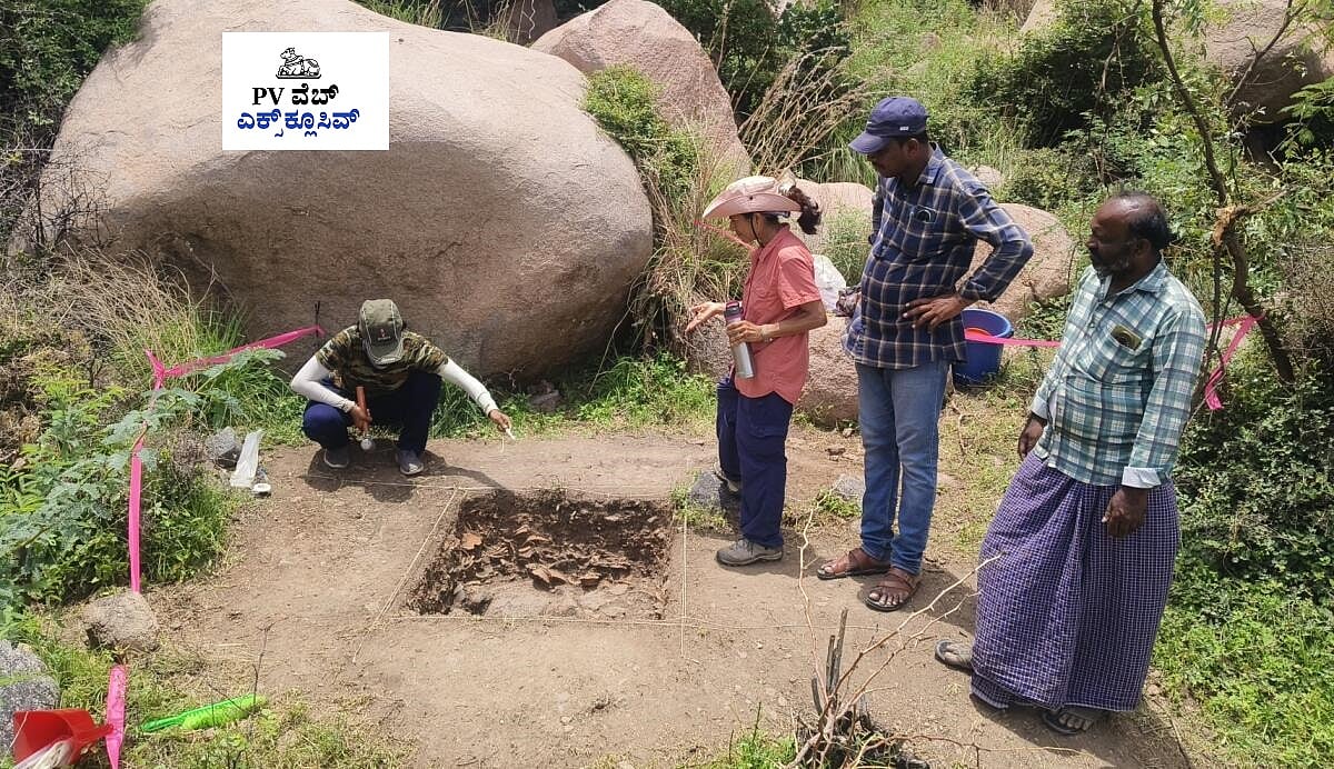 PV Web Exclusive: ಬಳ್ಳಾರಿಯ ತೆಕ್ಕಲಕೋಟೆಯಲ್ಲಿ ಬೆಟ್ಟ ವಾಸಿಗಳ ಜಾಡು ಹಿಡಿದು..